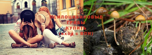 хмурый Волоколамск