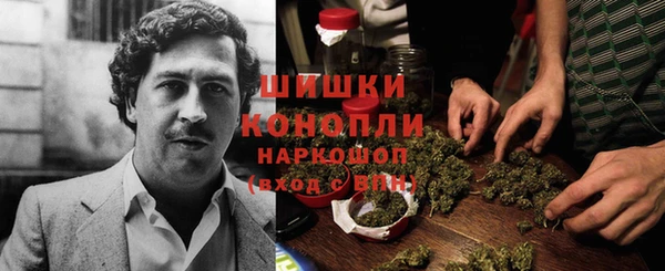 гашик Володарск